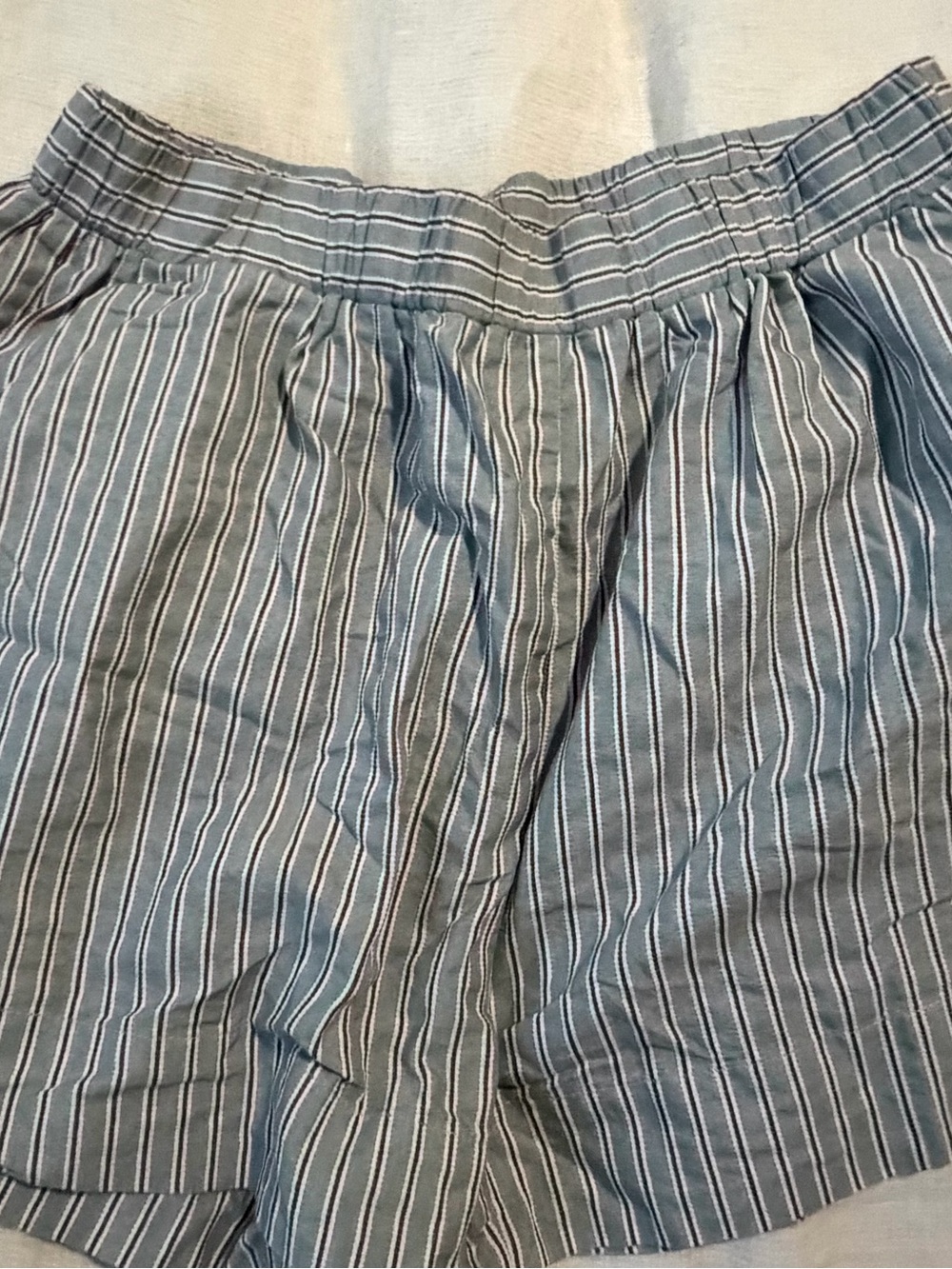 Tuckernuck Blue and White Striped High-Waist Women’s Shorts
